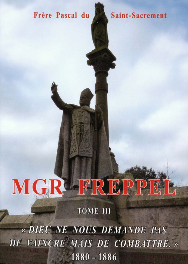 Mgr Freppel - tome 3